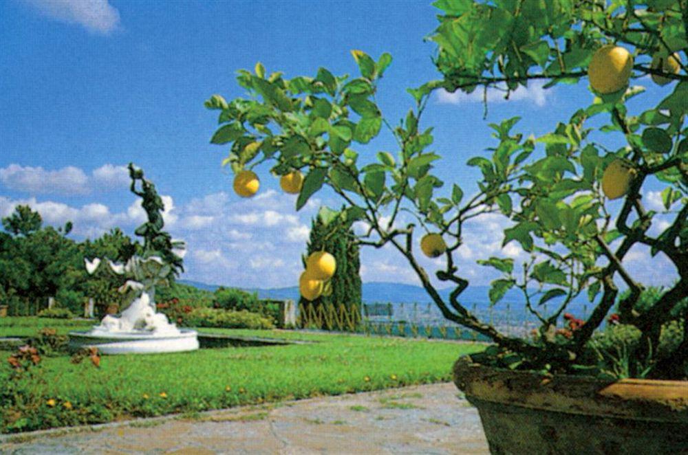 Hotel Villa Le Rondini Florence Ngoại thất bức ảnh